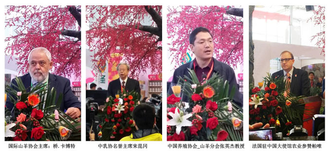 首页| beat365中国区唯一官网