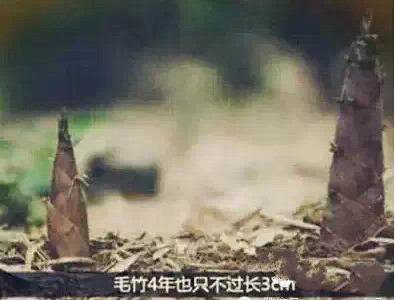 首页| beat365中国区唯一官网